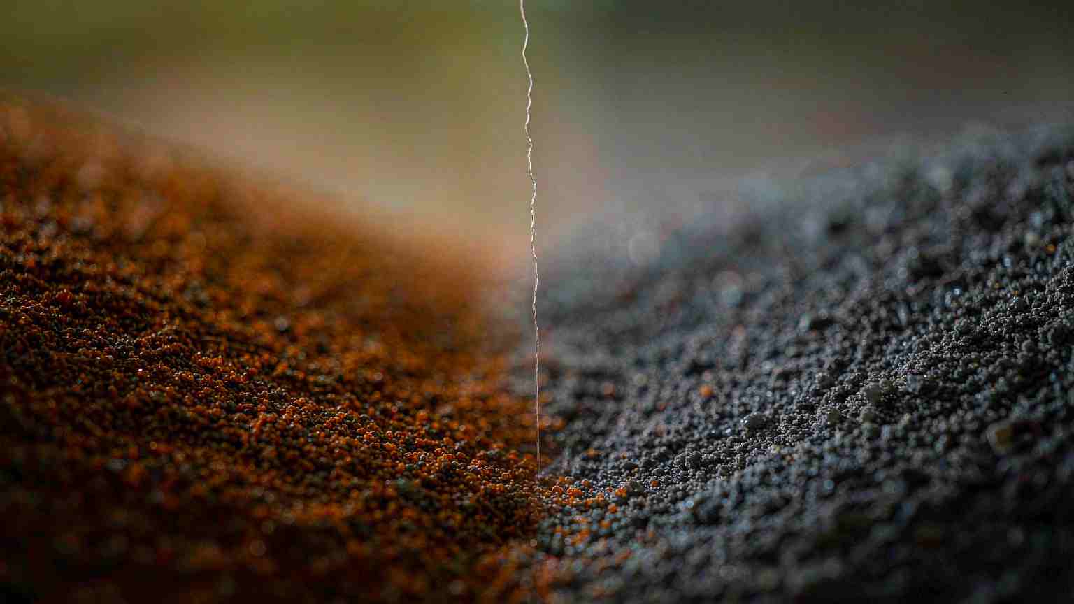 Photoshop 27.11 Ships Enhance Edge: RGBA Diffusion for Cleaner Cutouts
